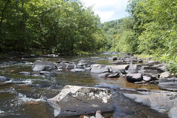 trout stream