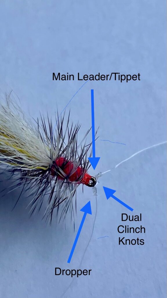 Dry Dropper Rig