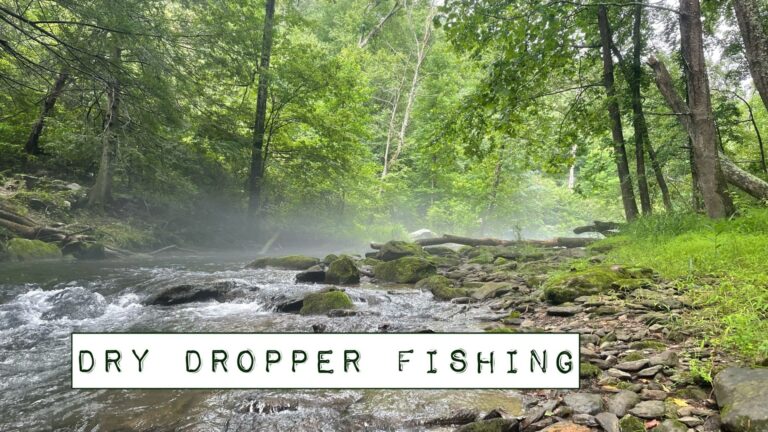 dry dropper