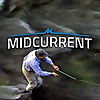 fly fishing news