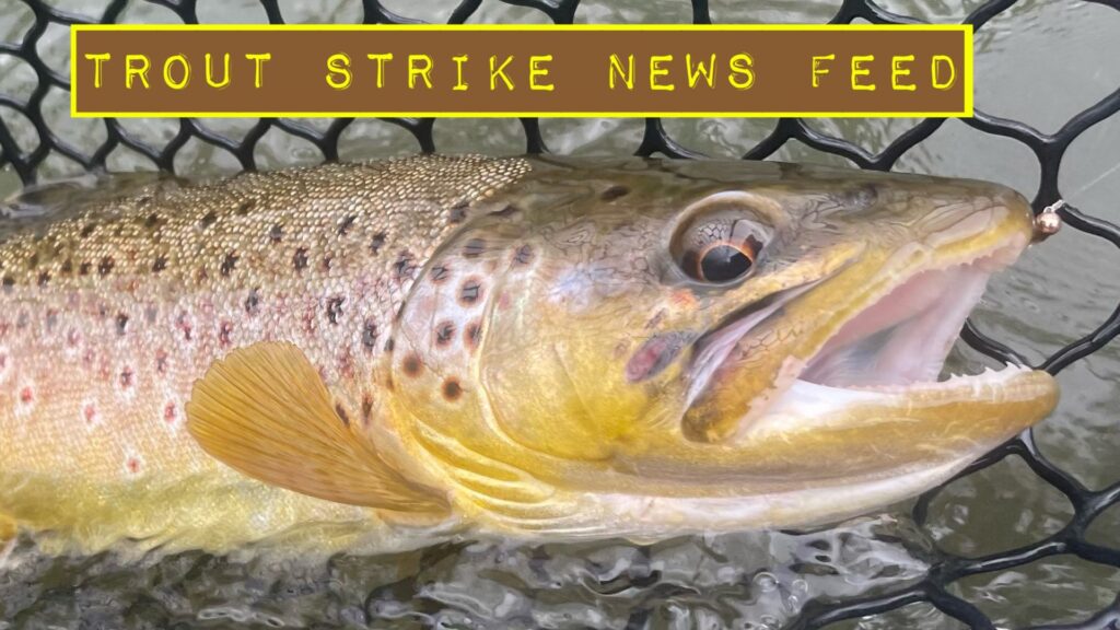 Fly Fishing News