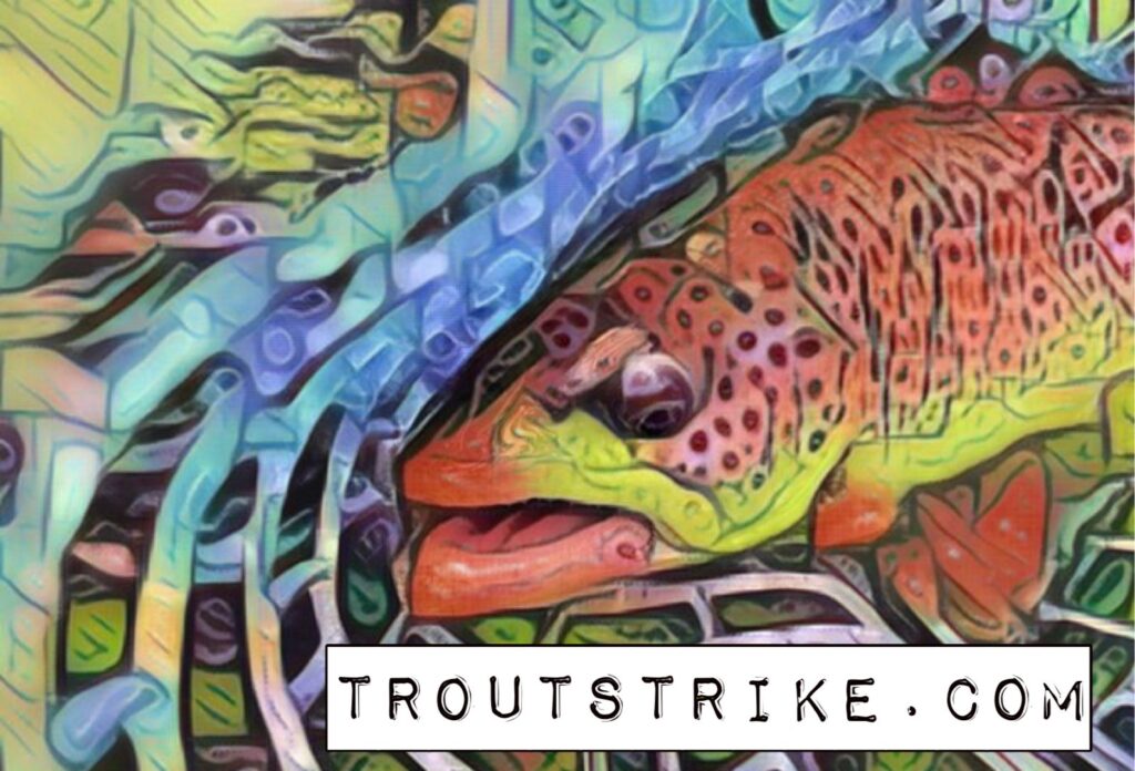 troutstrike.com