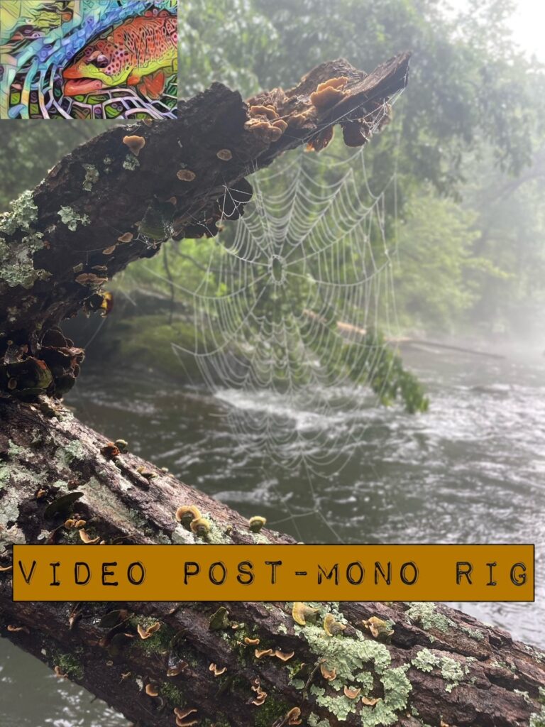 mono rig