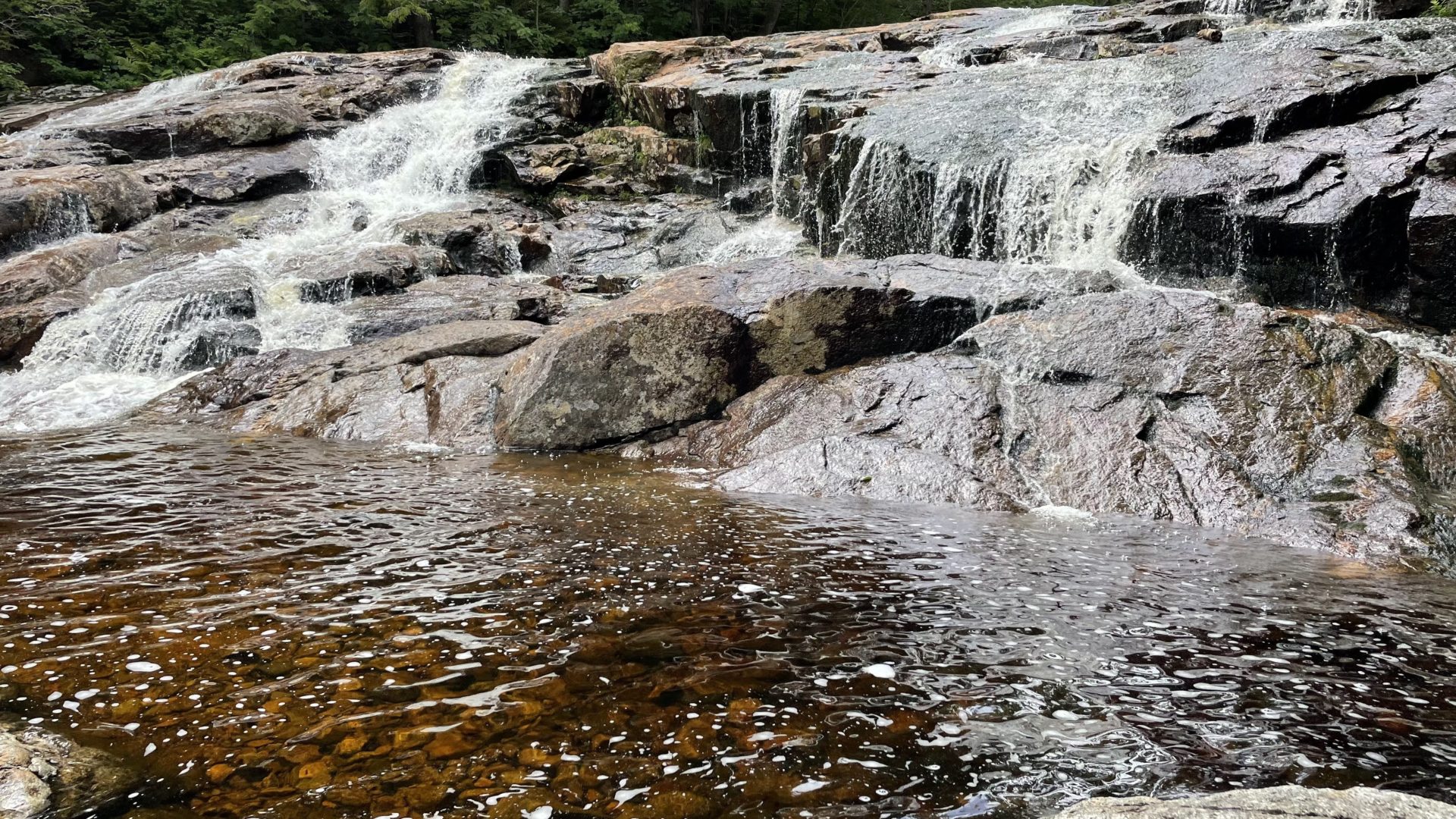 Brook trout stream