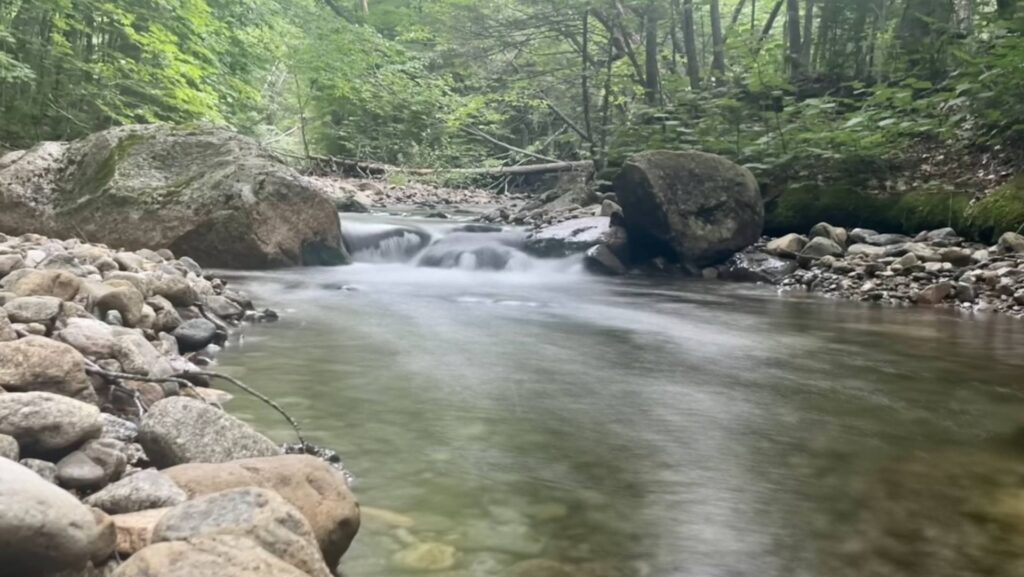 brook trout stream