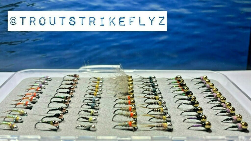 euro nymph fly box