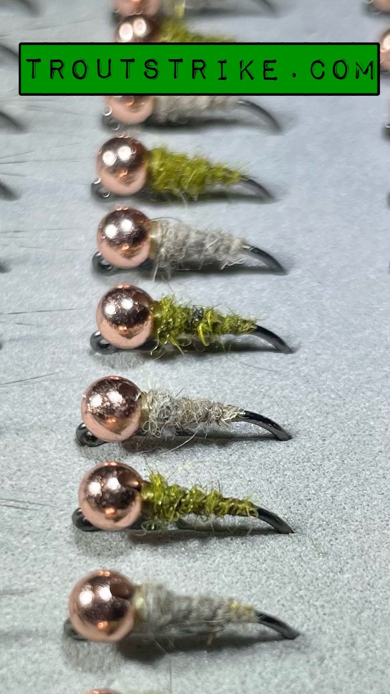 waltz worm