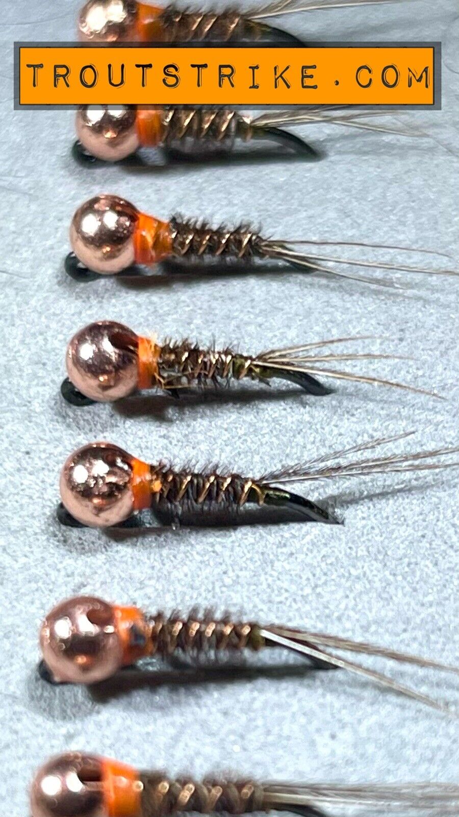pheasant tail
