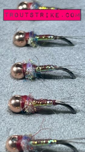 rainbow warrior
