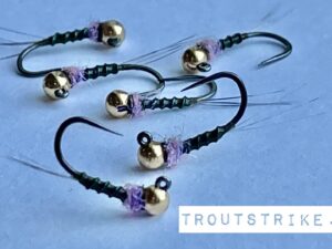 Thread Frenchie