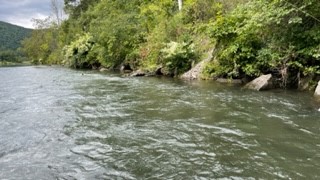 fish the bank