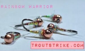 rainbow warrior