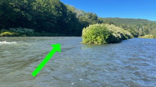 fish side channels