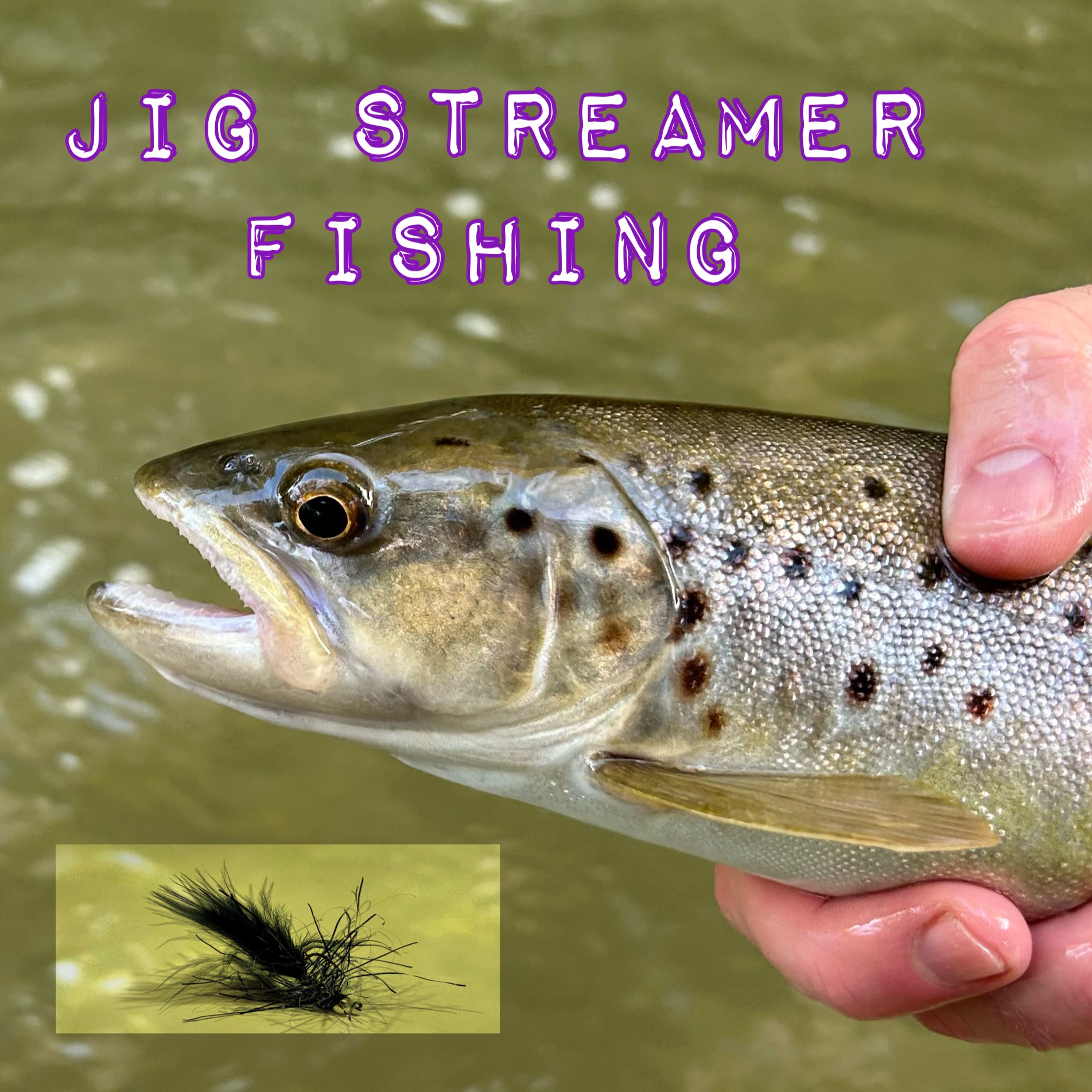 Jig Streamer Saves the Day