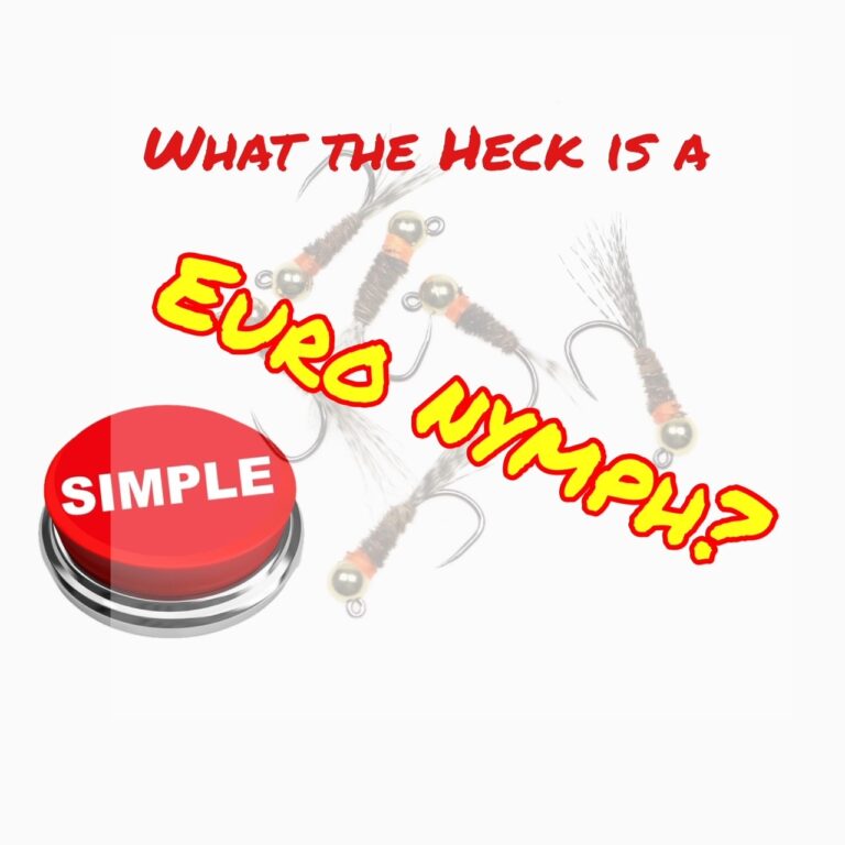 Euro Nymphing Simplified: Best Fly Selection Strategy
