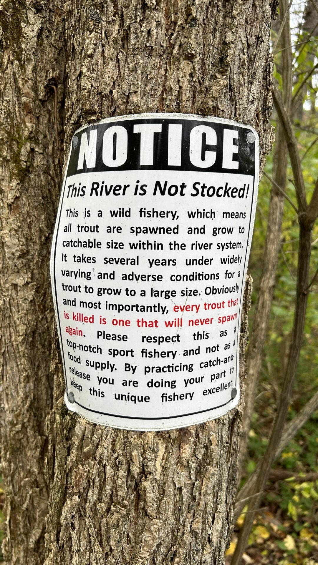 This River is Not Stocked
