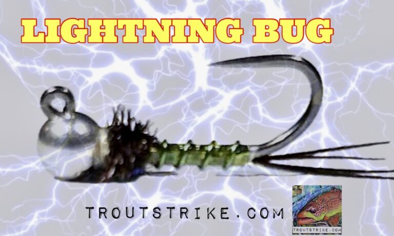 The Simplified Lightning Bug Euro Nymph: A Step-by-Step Guide