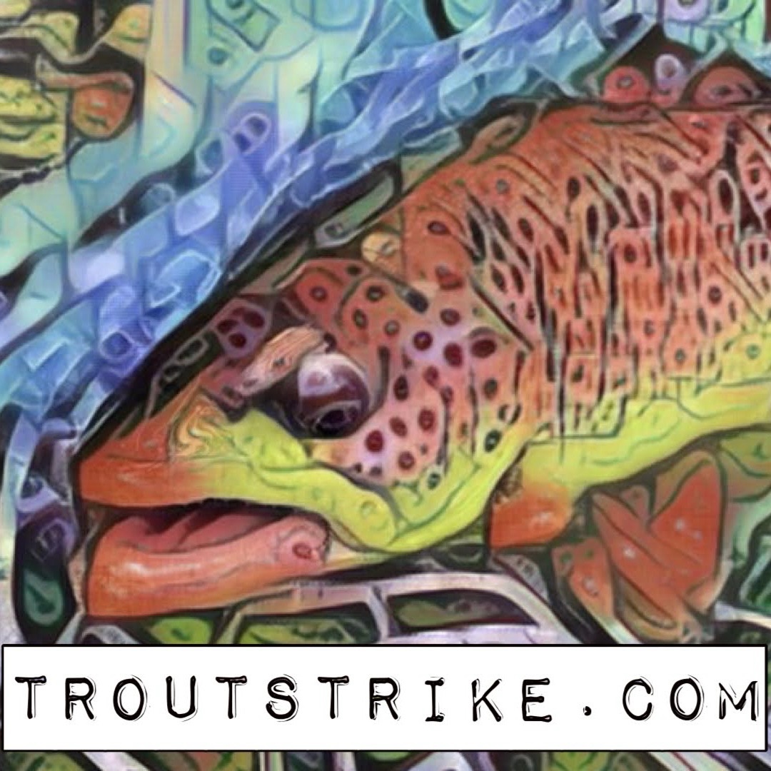 troutstrike.com