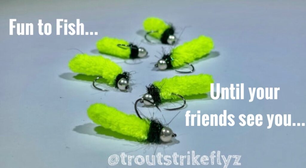 Mop Flies