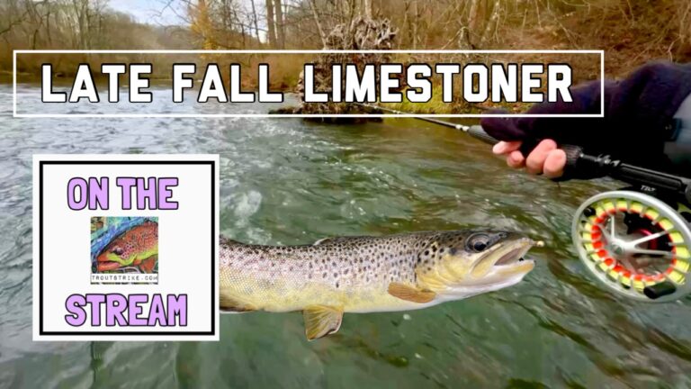 Limestone Streams Offer Outstanding Year Round Fishing Opportunities