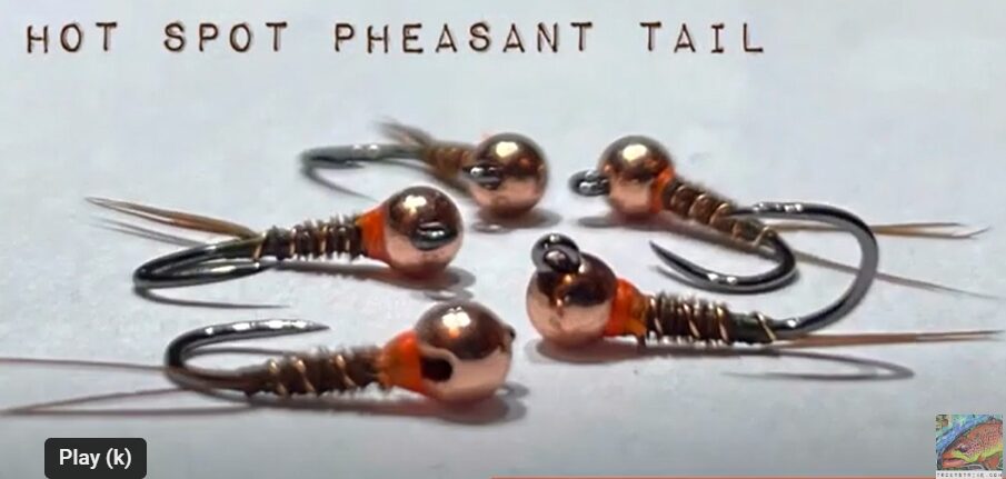 Hot Spot Pheasant Tail