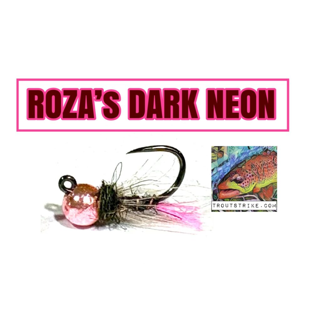 Roza's Dark Neon