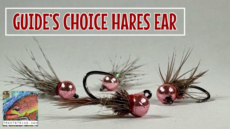 Guide’s Choice Hare’s Ear | An Old Reliable Confidence Nymph