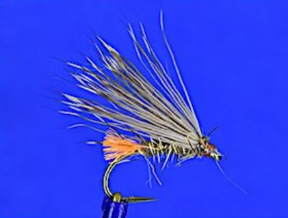 Many variations of the X Caddis can be tied.