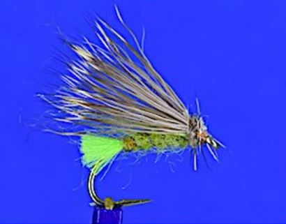 Many variations of the X Caddis can be tied.
