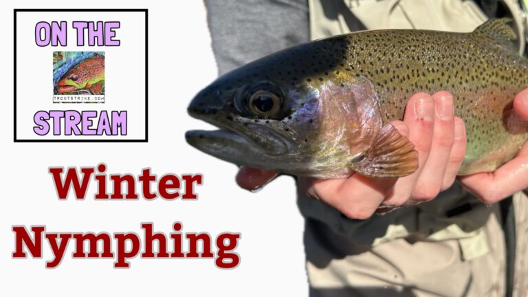 Winter Nymphing