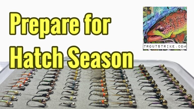Hatch Season Prep: The Ultimate Guide to Fly Box Organization