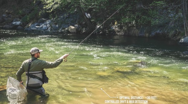 Tightline Contact