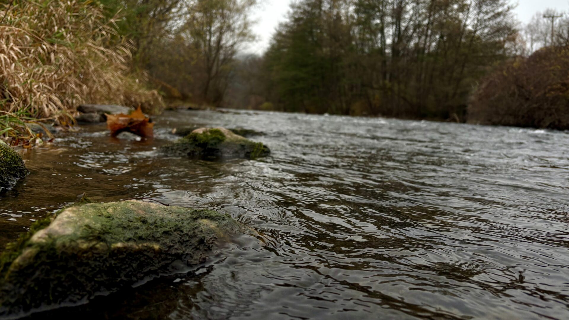 low river conditions