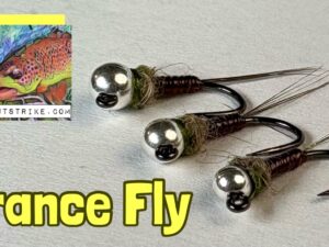 France Fly
