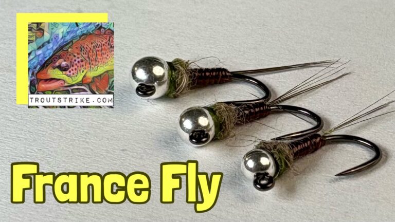 France Fly