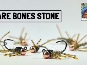Bare Bones Stone