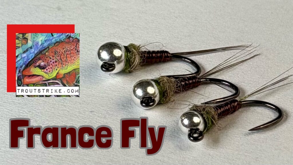 France Fly