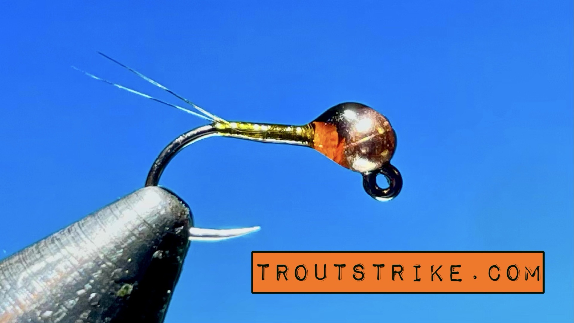 olive flash perdigon