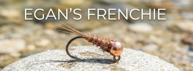 Egan's Frenchie