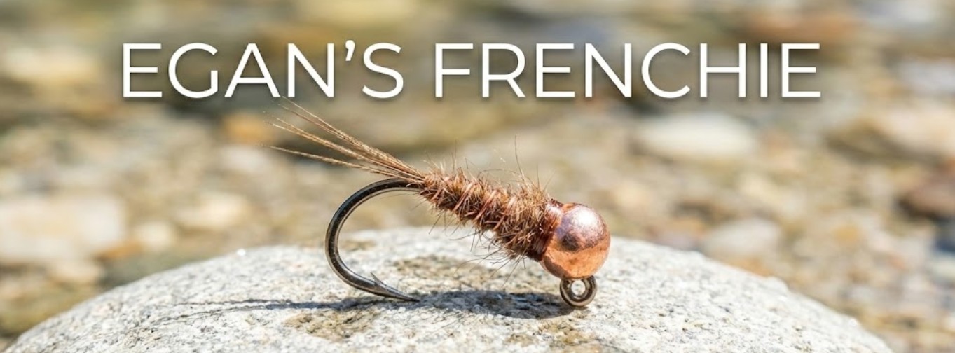 Egan's Frenchie