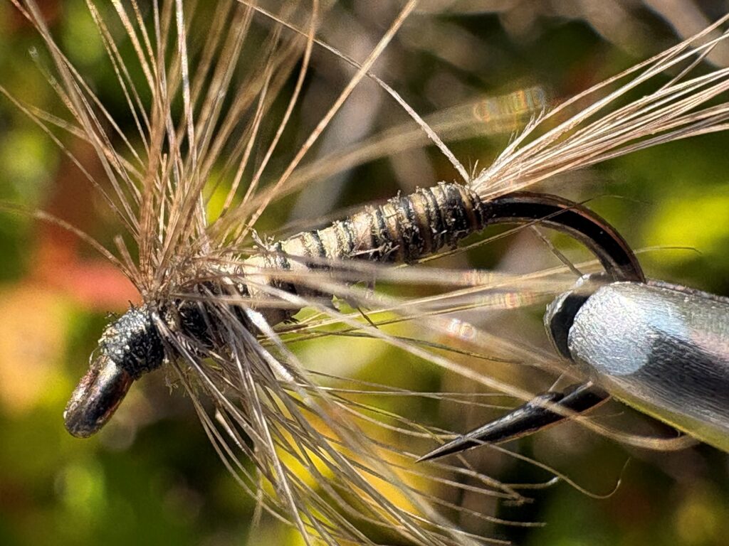 dry fly