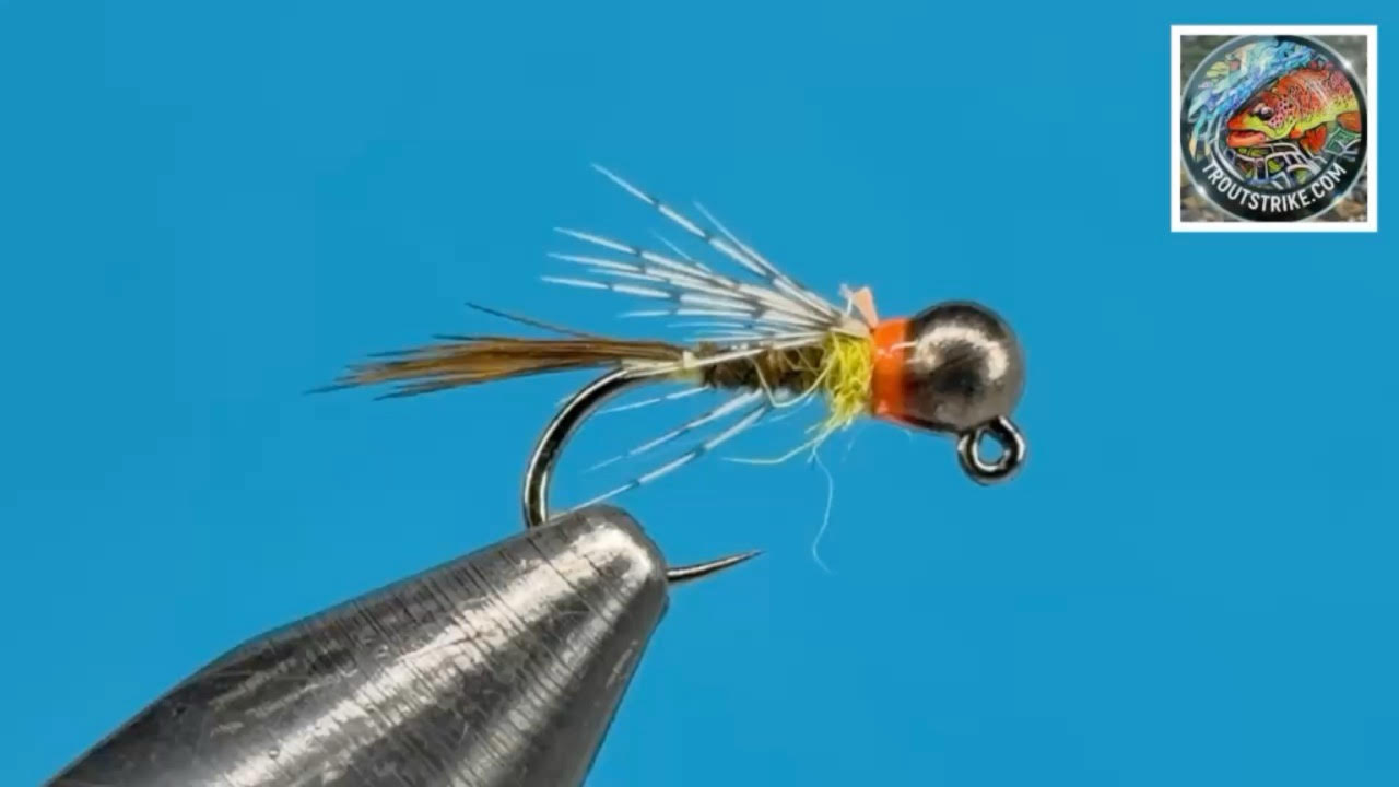 Euro Style Sulphur Nymph