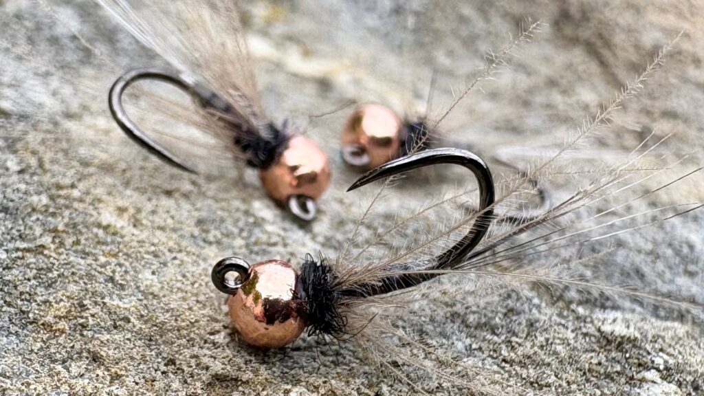 Jack Daniels Nymph