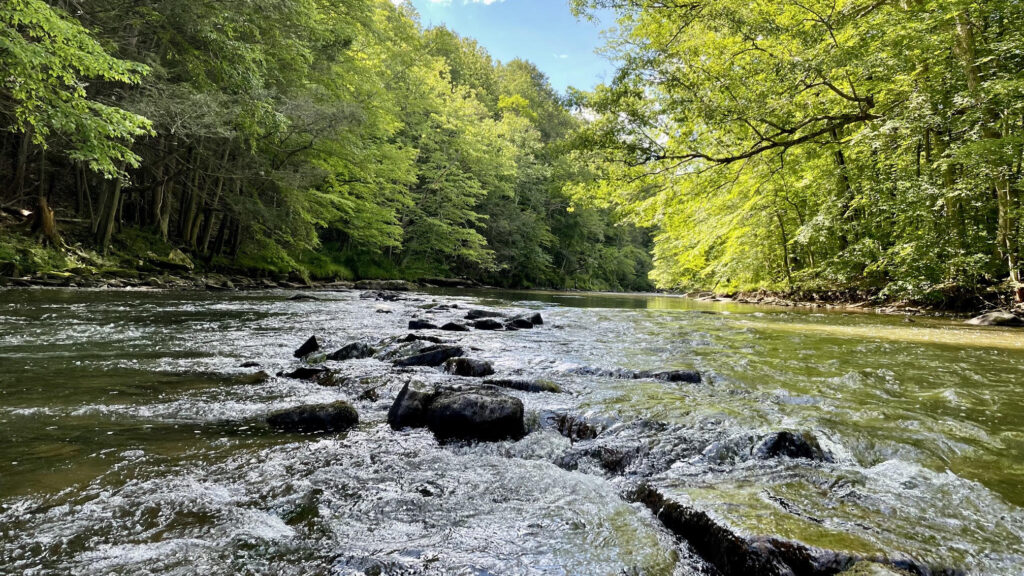 Where do the big browns go in the summer when the rivers look like this?